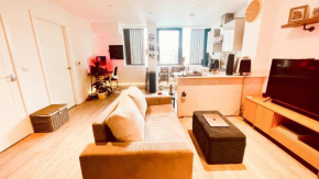 Fabulous modern North London apartment